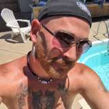 gingydaddy